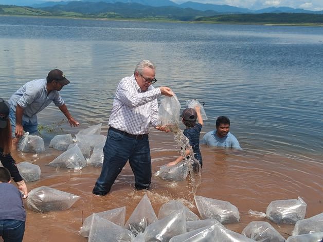 Imagen Placeholder Imagen Placeholder