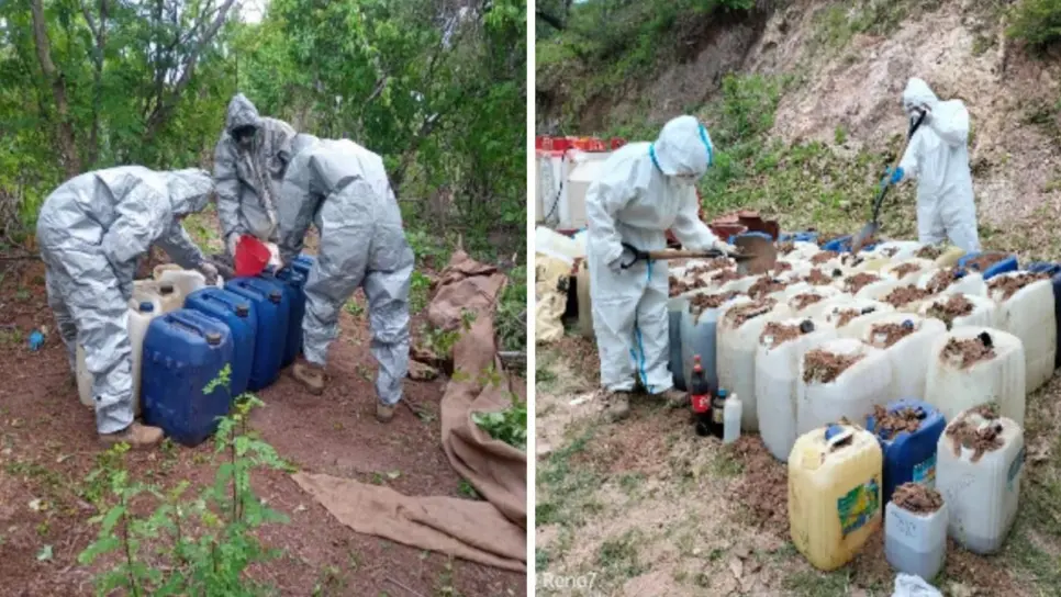 Localizan y destruyen 4 áreas de almacenamiento de material y 1 laboratorio para elaborar drogas en Culiacán Localizan y destruyen 4 áreas de almacenamiento de material y 1 laboratorio para elaborar drogas en Culiacán