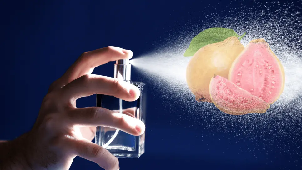 Perfumes con olor a guayaba, la tendencia que está de moda este verano 2025
