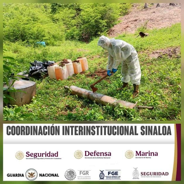 Imagen Placeholder Imagen Placeholder