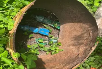 Militares localizan y desactivan 4 explosivos encontrados en Escuinapa y El Rosario 
