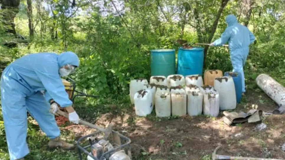 Aseguran y destruyen dos áreas de concentración de materiales químicos y un laboratorio en Culiacán Aseguran y destruyen dos áreas de concentración de materiales químicos y un laboratorio en Culiacán