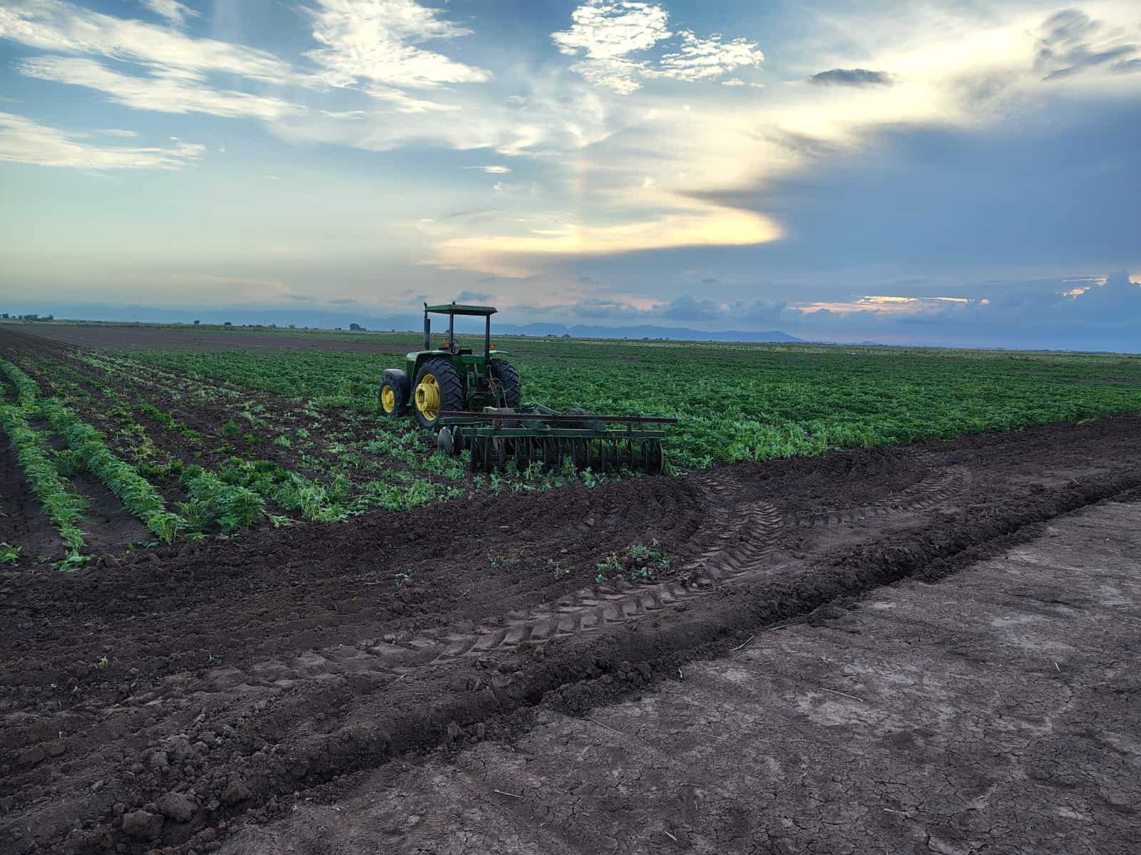 Imagen Placeholder Imagen Placeholder