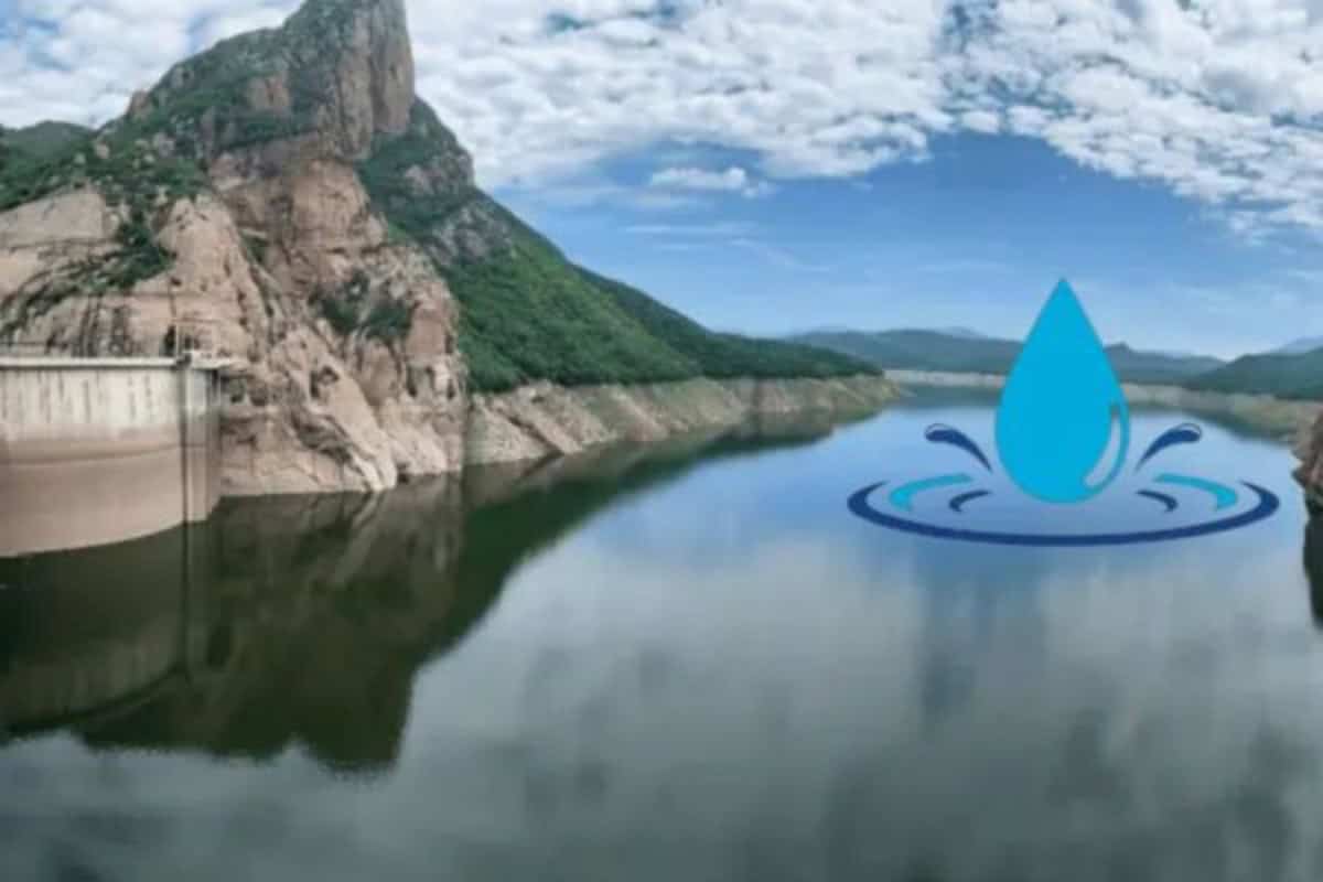 Imagen Placeholder Imagen Placeholder