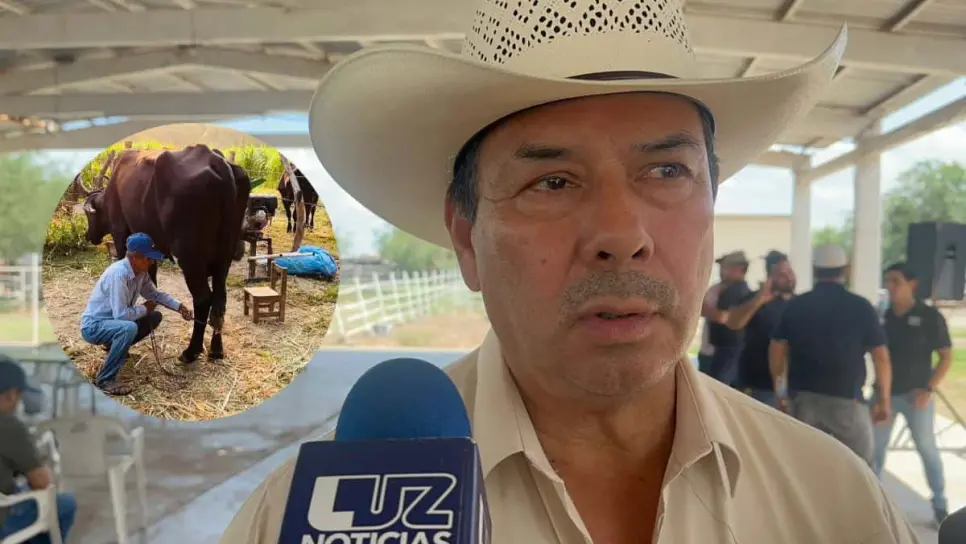 Leche para el Bienestar en La Despensa, Ahome requiere 6 MDP