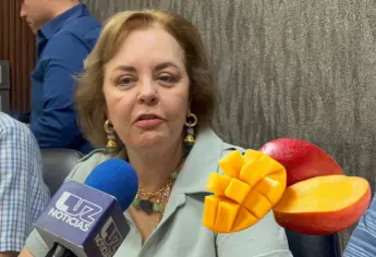 Productores de mango en Sinaloa enfrentan pérdidas del 50% por sequía: Kenia Moreno