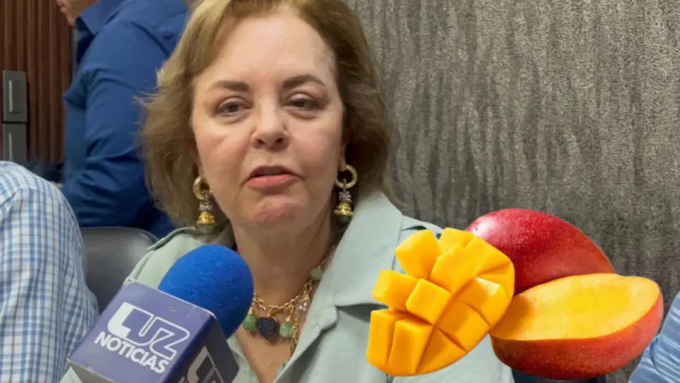 Productores de mango en Sinaloa enfrentan pérdidas del 50% por sequía: Kenia Moreno Productores de mango en Sinaloa enfrentan pérdidas del 50% por sequía: Kenia Moreno