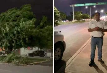 Lluvia y fuertes rachas de viento deja espectaculares caídos en Culiacán