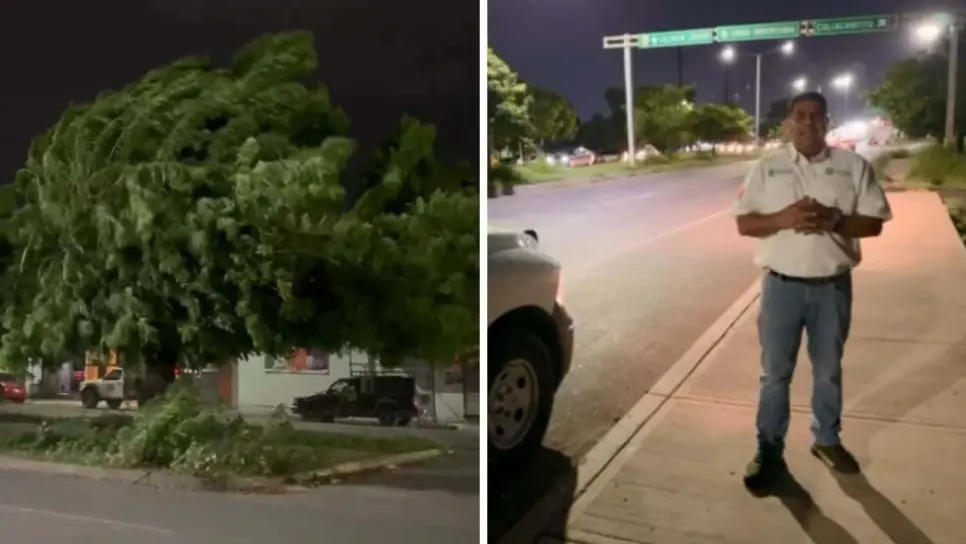 Lluvia y fuertes rachas de viento deja espectaculares caídos en Culiacán Lluvia y fuertes rachas de viento deja espectaculares caídos en Culiacán