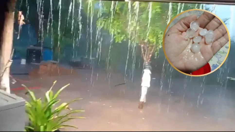 Enormes granizos caen del cielo en Bamicori, El Fuerte Enormes granizos caen del cielo en Bamicori, El Fuerte