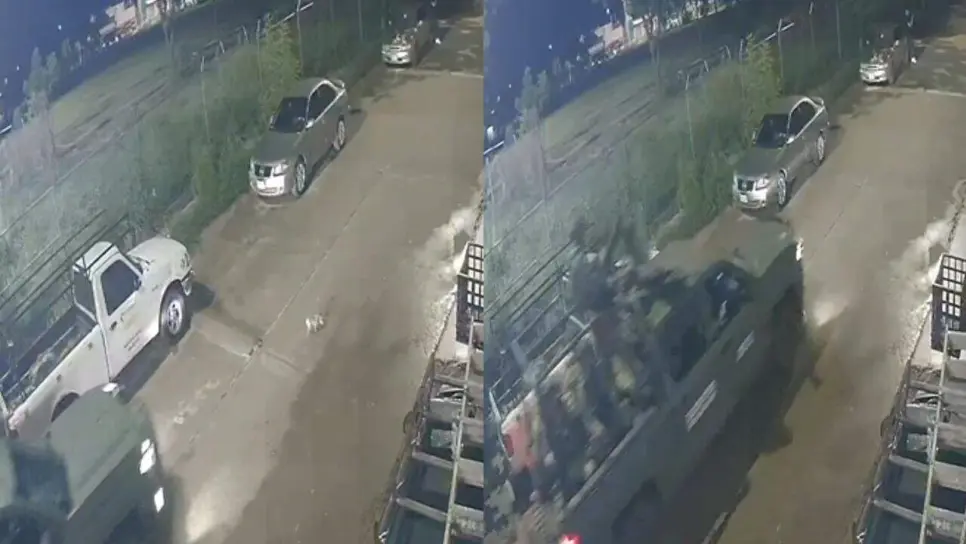 Patrulla del Ejército atropella y mata a un perrito en Culiacán; animalistas exigen justicia | VIDEO