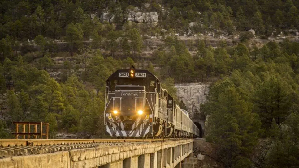 Tren "El Sinaloense": ¿Tendrá estación en Guasave?