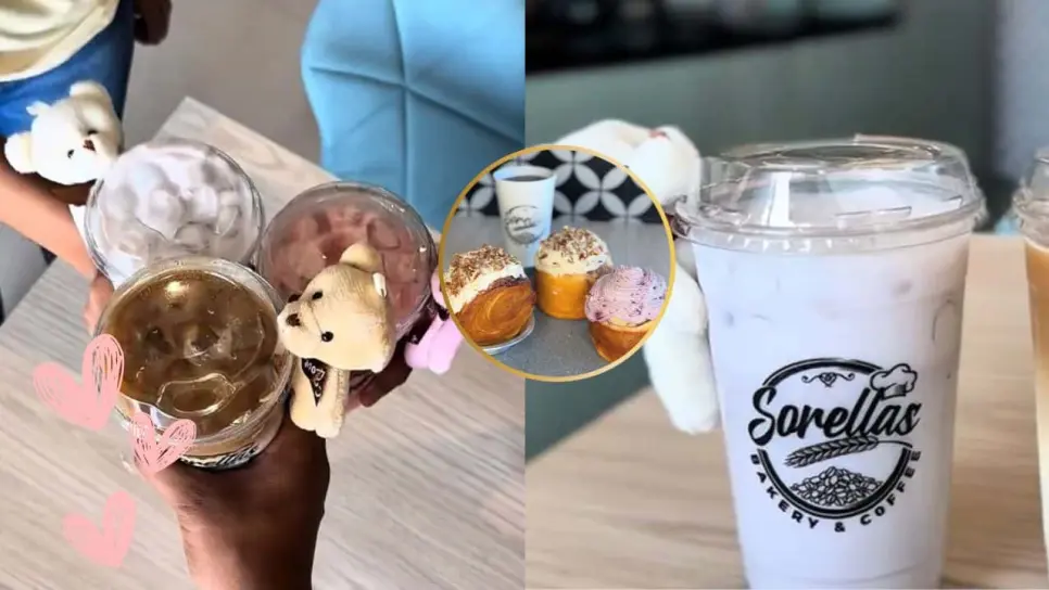 En esta cafetería de Mazatlán te regalan un osito de peluche con tu café En esta cafetería de Mazatlán te regalan un osito de peluche con tu café