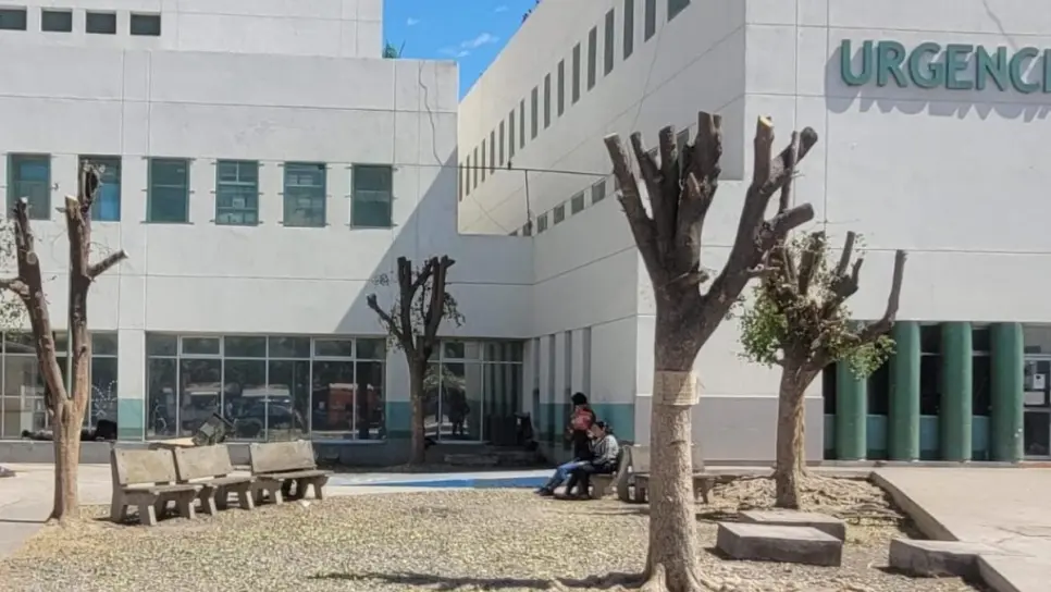 Muere adolescente tarahumara en cuarterías de Juan José Ríos tras complicaciones de aborto Muere adolescente tarahumara en cuarterías de Juan José Ríos tras complicaciones de aborto