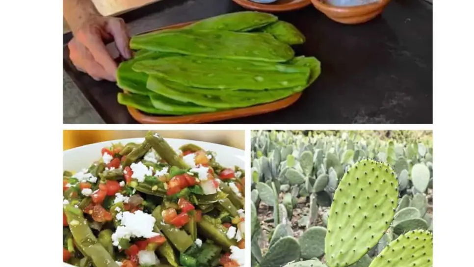 ¿No te gusta la baba del nopal? Así se elimina fácil y rápido ¿No te gusta la baba del nopal? Así se elimina fácil y rápido