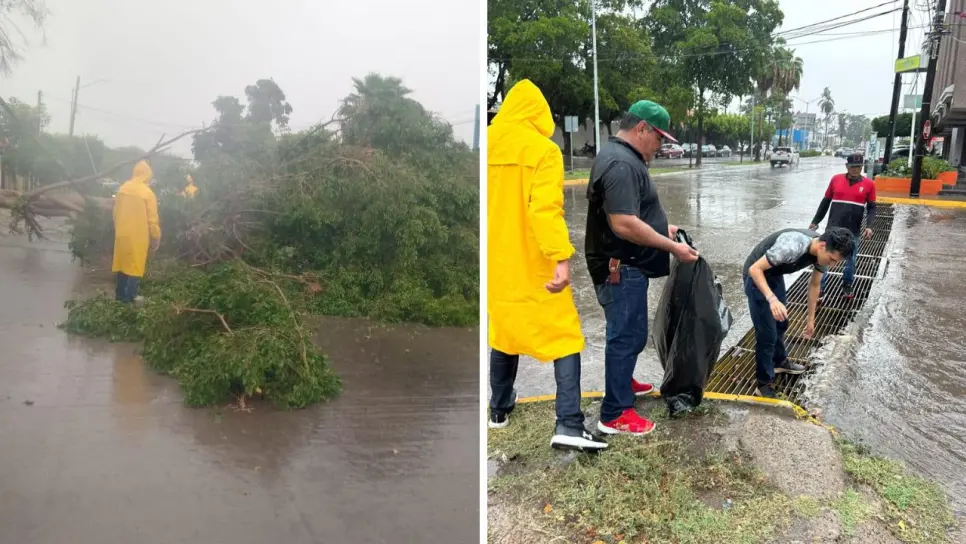 Ante fuertes lluvias, Protección Civil atiende afectaciones en Los Mochis y comunidades rurales Ante fuertes lluvias, Protección Civil atiende afectaciones en Los Mochis y comunidades rurales