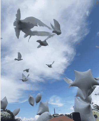 Imagen Placeholder Imagen Placeholder