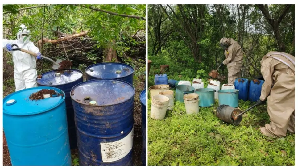 Ejército y GN aseguran 3 áreas de almacenamiento de químicos en Culiacán y Cosalá Ejército y GN aseguran 3 áreas de almacenamiento de químicos en Culiacán y Cosalá