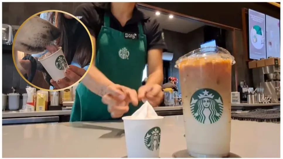 ¿Sabías que Starbucks tiene una bebida "secreta" para mascotas?
