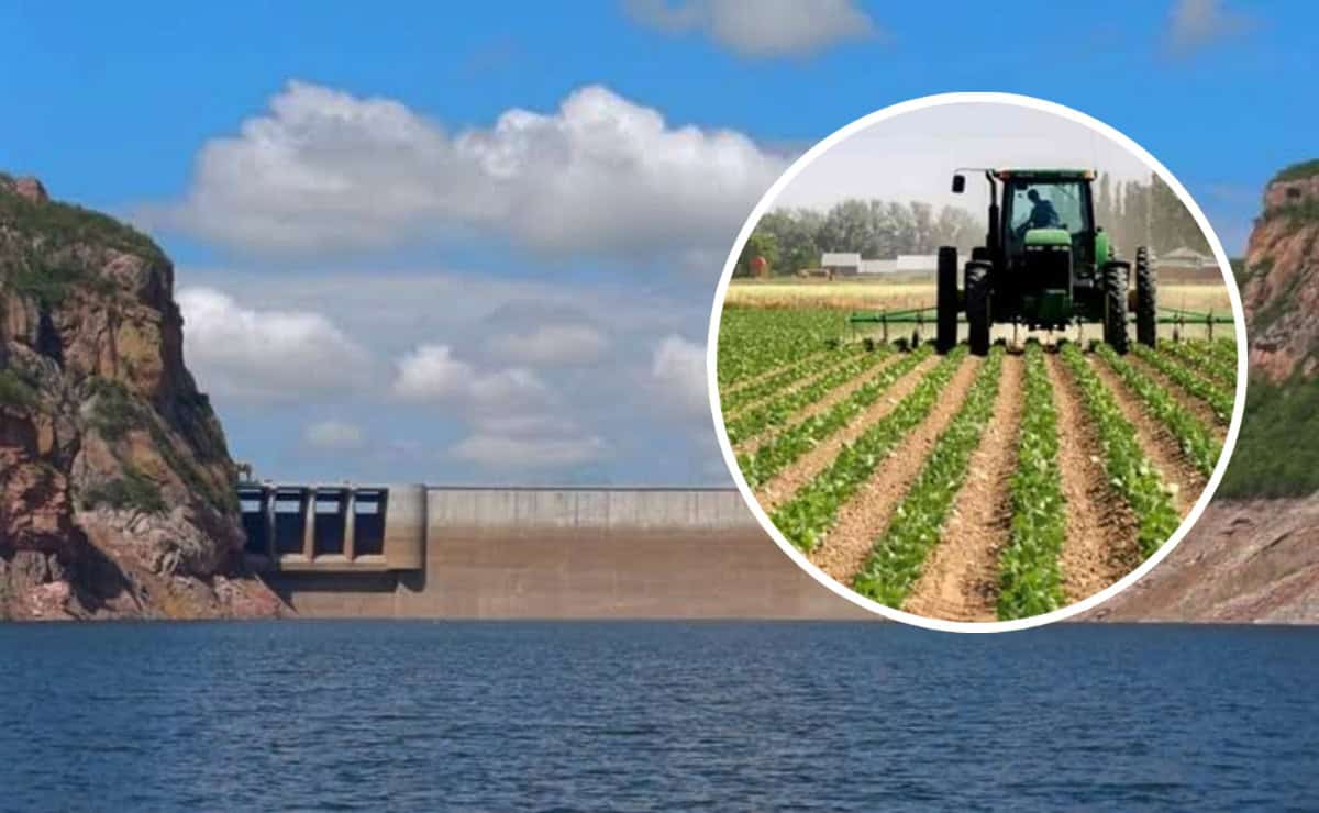 Presas de Sinaloa: ¿Qué nivel deben tener los embalses para un ciclo agrícola óptimo?