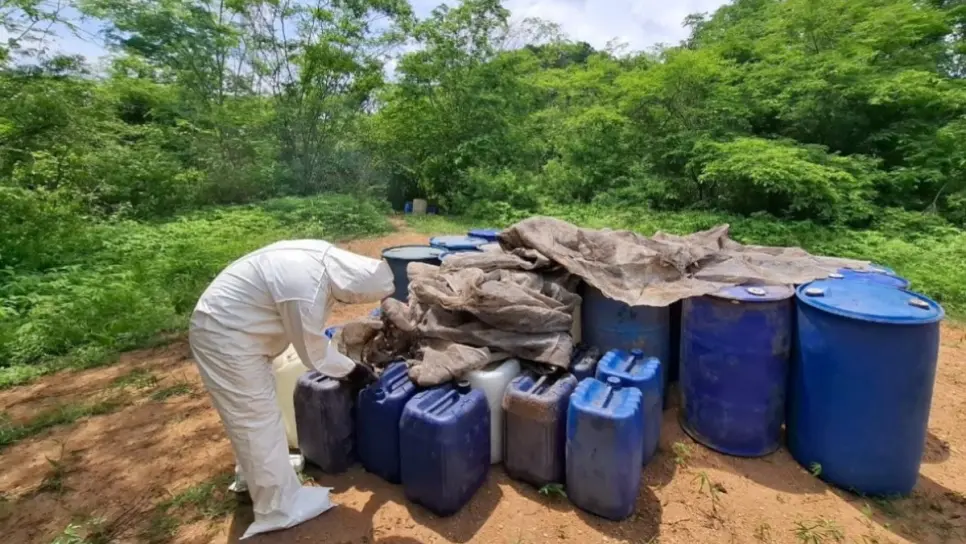 Aseguran 6 áreas de almacenamiento de químicos en Culiacán, Mocorito y Elota Aseguran 6 áreas de almacenamiento de químicos en Culiacán, Mocorito y Elota