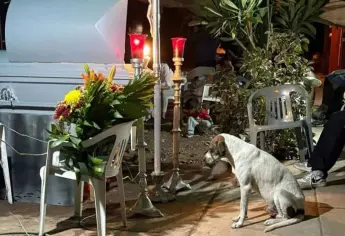 “El Pinto” y su fidelidad hacia Don Leonardo