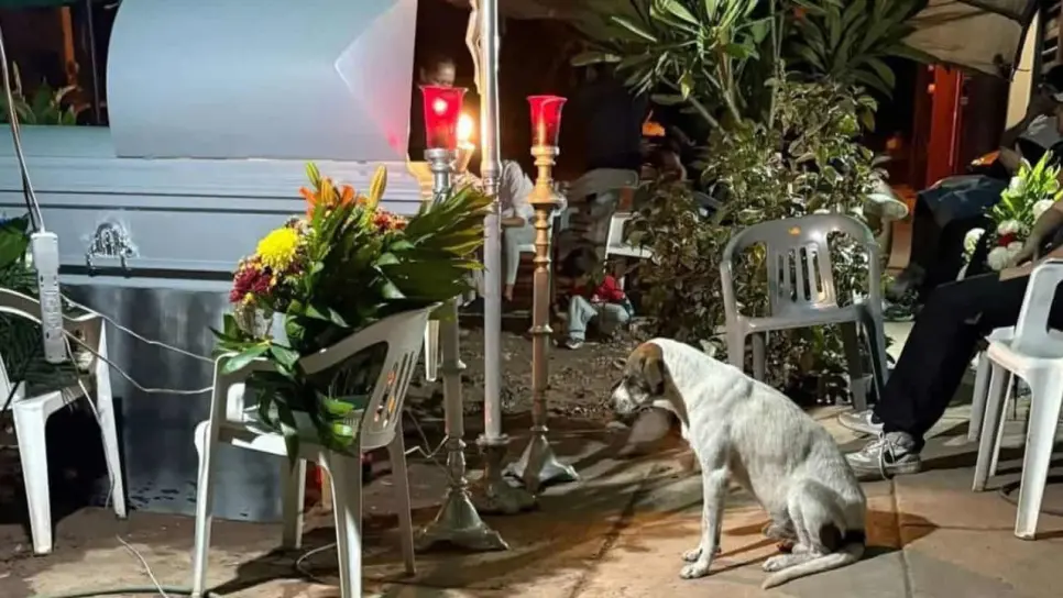 "El Pinto" y su fidelidad hacia Don Leonardo