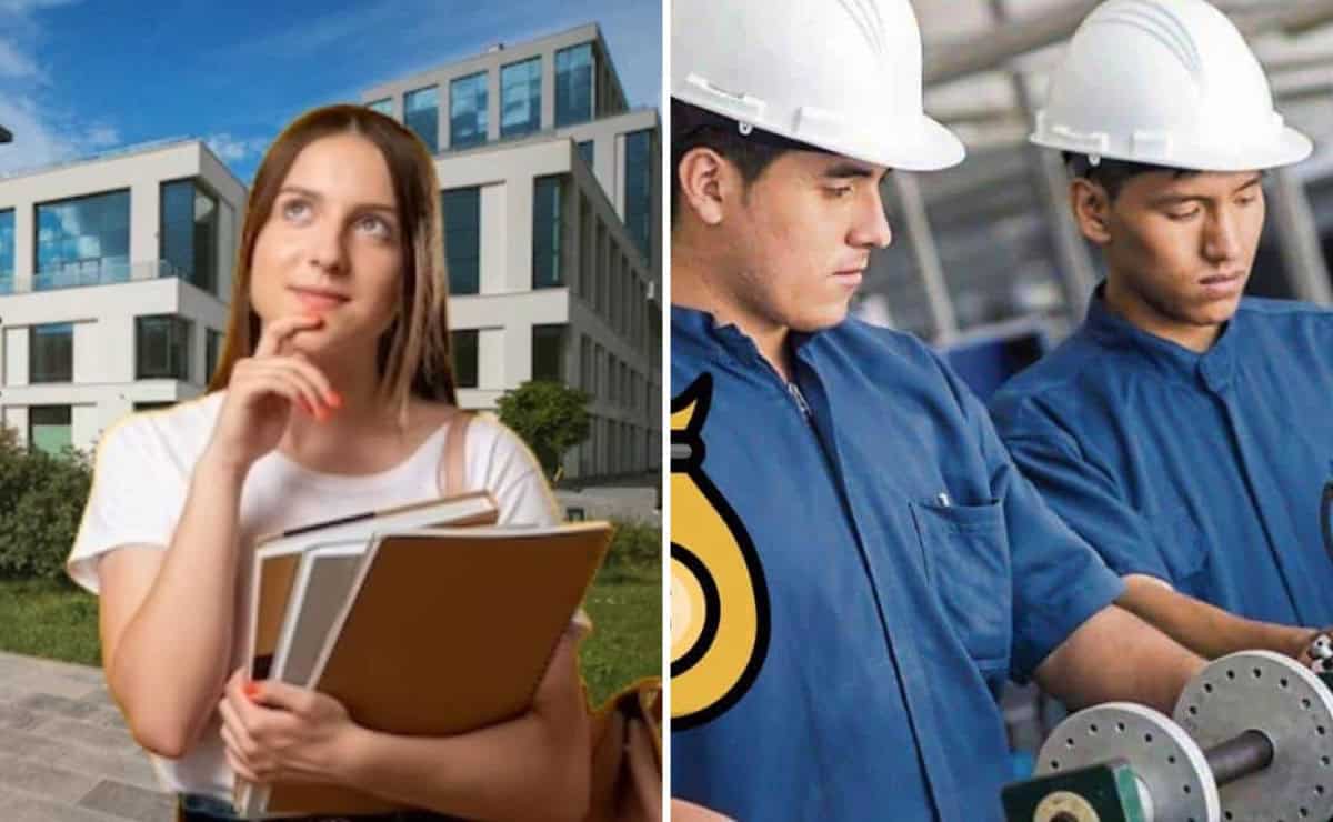 Estas son las carreras con mejor salario que debes estudiar este 2025 Estas son las carreras con mejor salario que debes estudiar este 2025