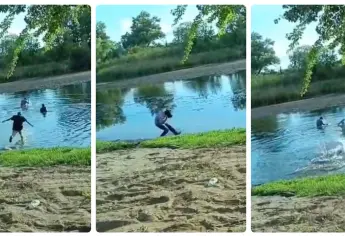 Enjambre arruina la fiesta: abejas atacan a tres hombres que bebían en el río de San José, Ahome