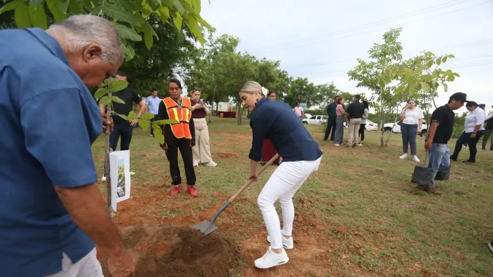 Estrella Palacios encabeza segunda jornada de la Campaña de Arborización y Embellecimiento Estrella Palacios encabeza segunda jornada de la Campaña de Arborización y Embellecimiento