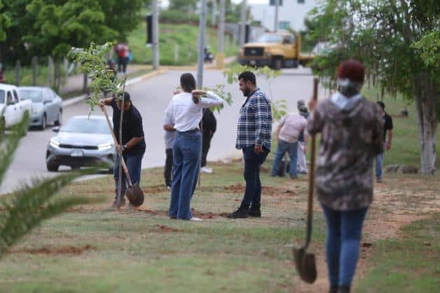 Imagen Placeholder