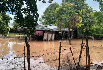 Intensa lluvia provoca inundaciones y daños en 19 viviendas en Guasave