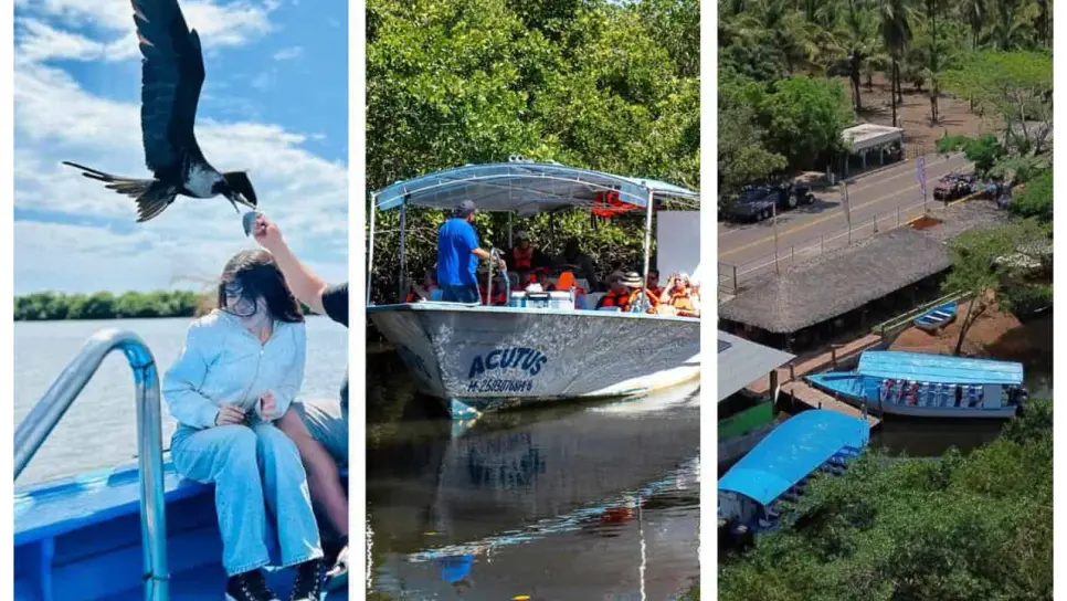 Una joya natural en Mazatlán: descubre los manglares en un recorrido desde La Terraza del Cangrejo