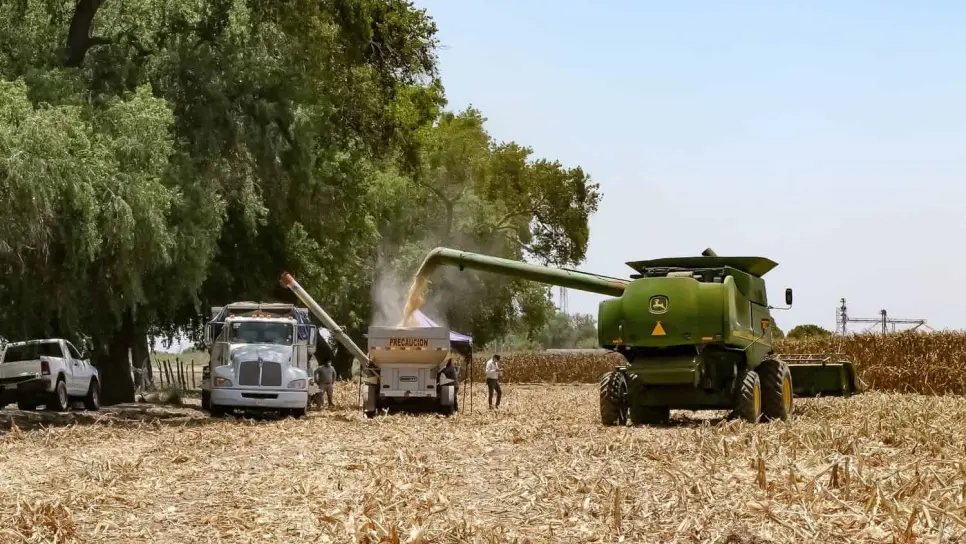 Agricultura sustentable: el arma secreta de los productores para sobrevivir a la sequía en Sinaloa Agricultura sustentable: el arma secreta de los productores para sobrevivir a la sequía en Sinaloa