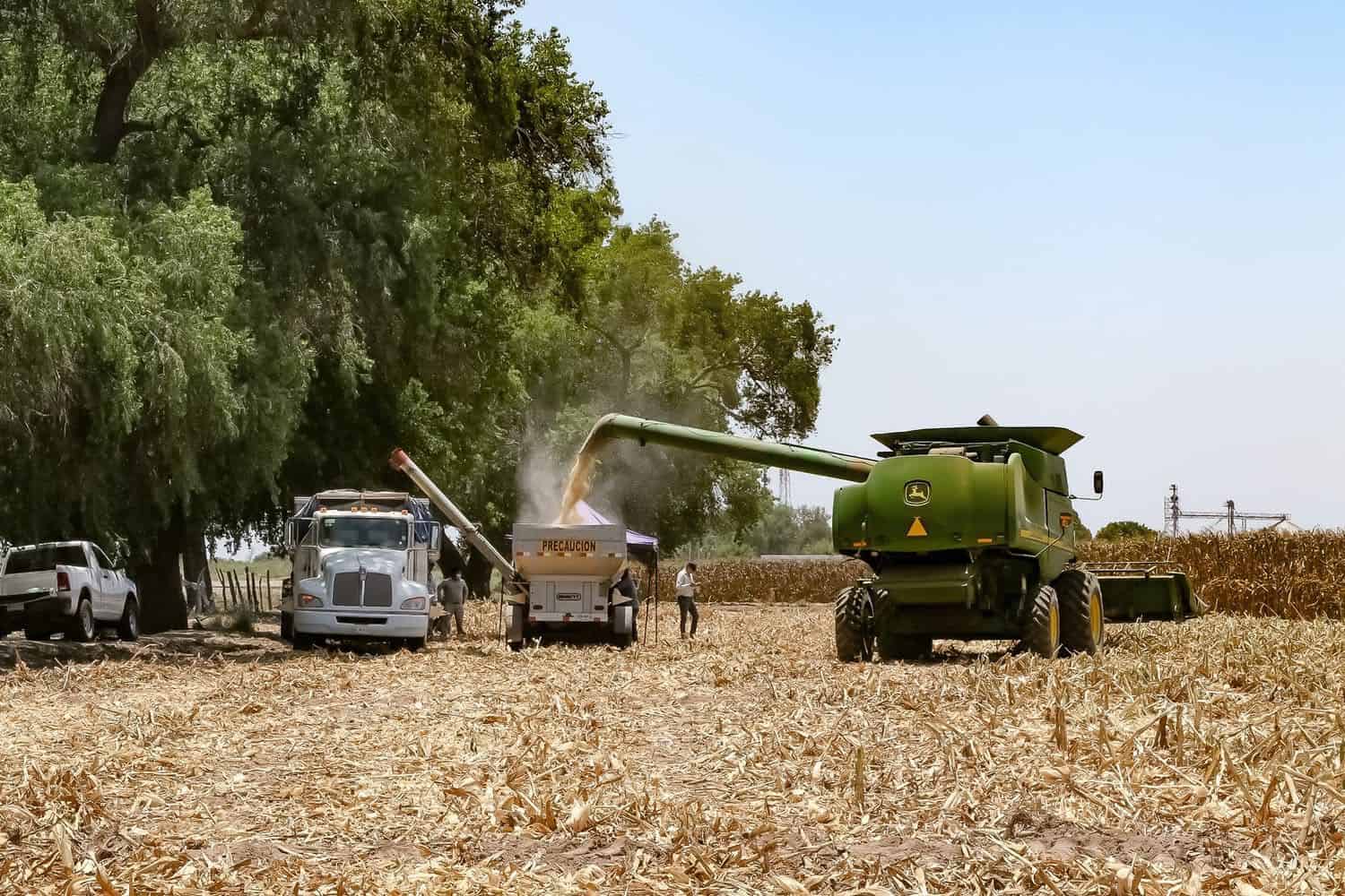 Agricultura sustentable: el arma secreta de los productores para sobrevivir a la sequía en Sinaloa