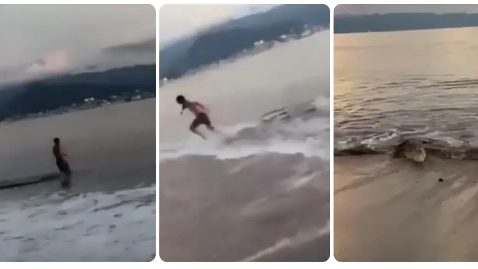 Cocodrilo por poco y muerde a un turista en playa de Puerto Vallarta | VIDEO Cocodrilo por poco y muerde a un turista en playa de Puerto Vallarta | VIDEO