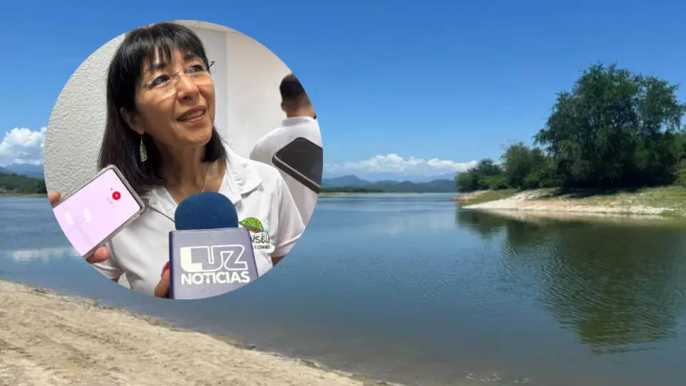 Mazatlán será la primera ciudad esponja del noroeste; este es el proyecto que transformará su futuro hídrico Mazatlán será la primera ciudad esponja del noroeste; este es el proyecto que transformará su futuro hídrico
