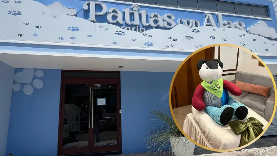 Culiacán ya tiene su primera funeraria para mascotas