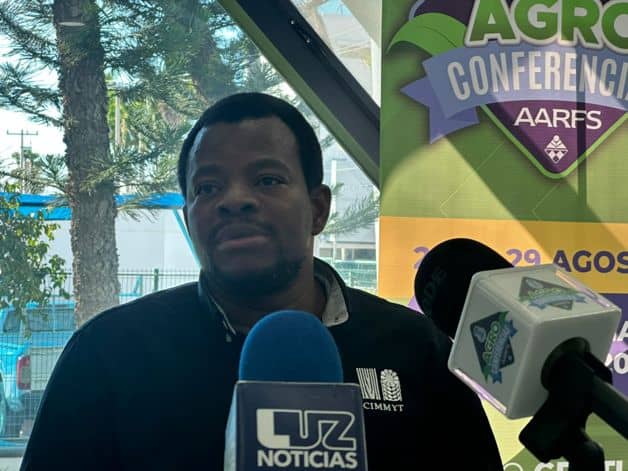 Imagen Placeholder Imagen Placeholder