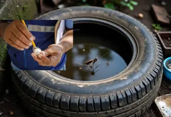 Acude a este lugar de Culiacán para obtener bolsitas de larvicida y evitar mosquitos ante las lluvias