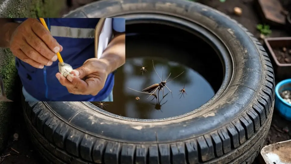 Acude a este lugar de Culiacán para obtener bolsitas de larvicida y evitar mosquitos ante las lluvias Acude a este lugar de Culiacán para obtener bolsitas de larvicida y evitar mosquitos ante las lluvias