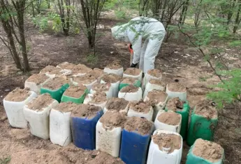 Aseguran y destruyen 5 áreas de concentración de materiales químicos para elaboración de droga en Culiacán