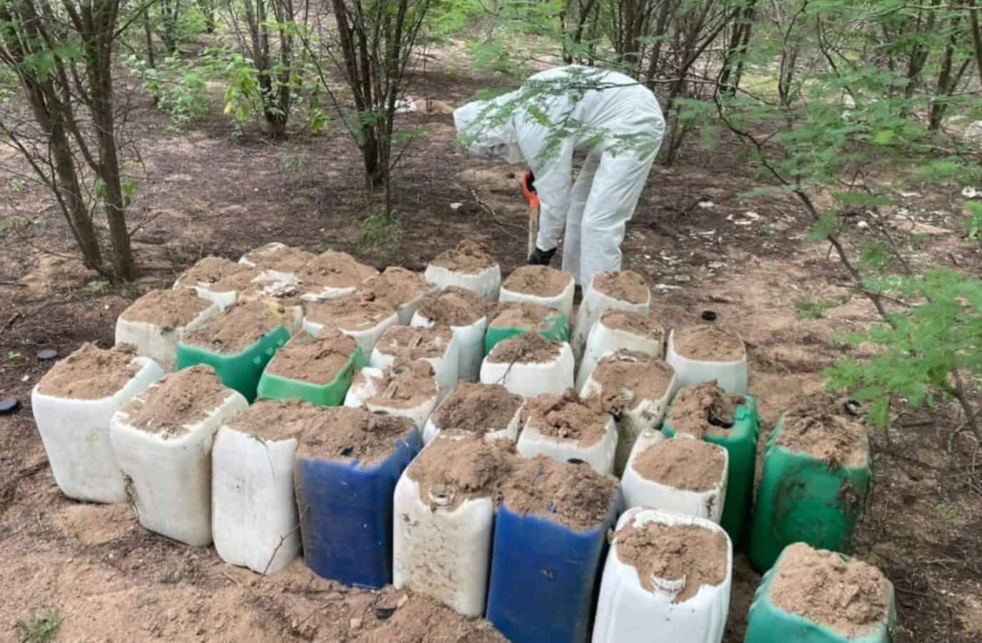 Aseguran y destruyen 5 áreas de concentración de materiales químicos para elaboración de droga en Culiacán