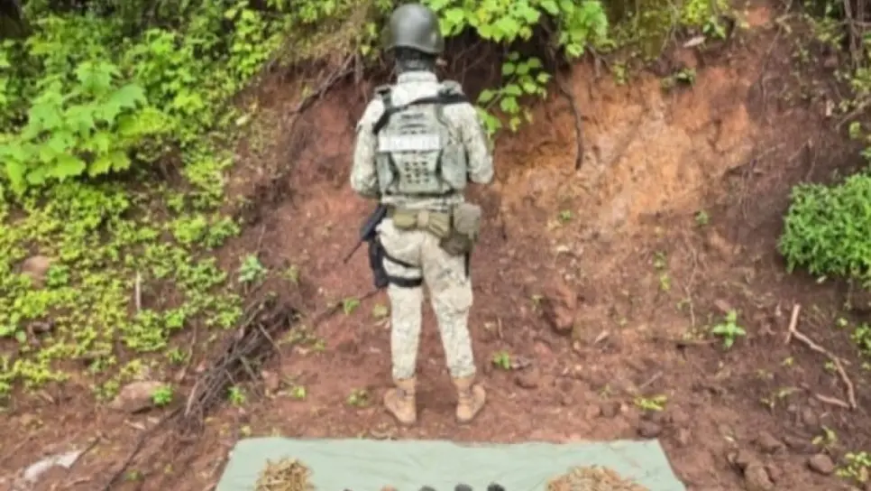 Militares inhabilitan 3 campamentos en Concordia, donde hallaron cartuchos y ropa táctica Militares inhabilitan 3 campamentos en Concordia, donde hallaron cartuchos y ropa táctica