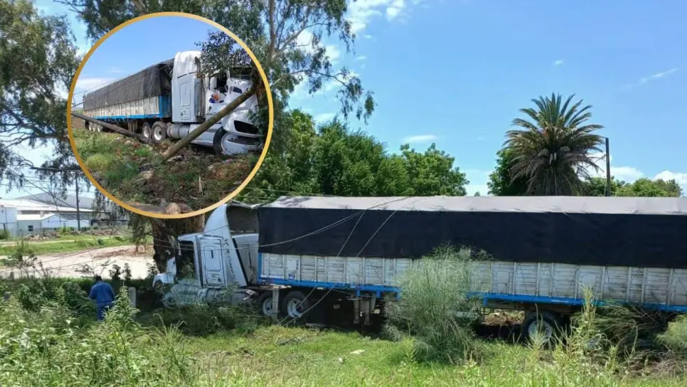 Trailero se sale de la México 15 y derriba postes de luz, terminó impactado contra un árbol