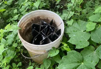 El Grupo Interinstitucional asegura cinco artefactos explosivos en Culiacán