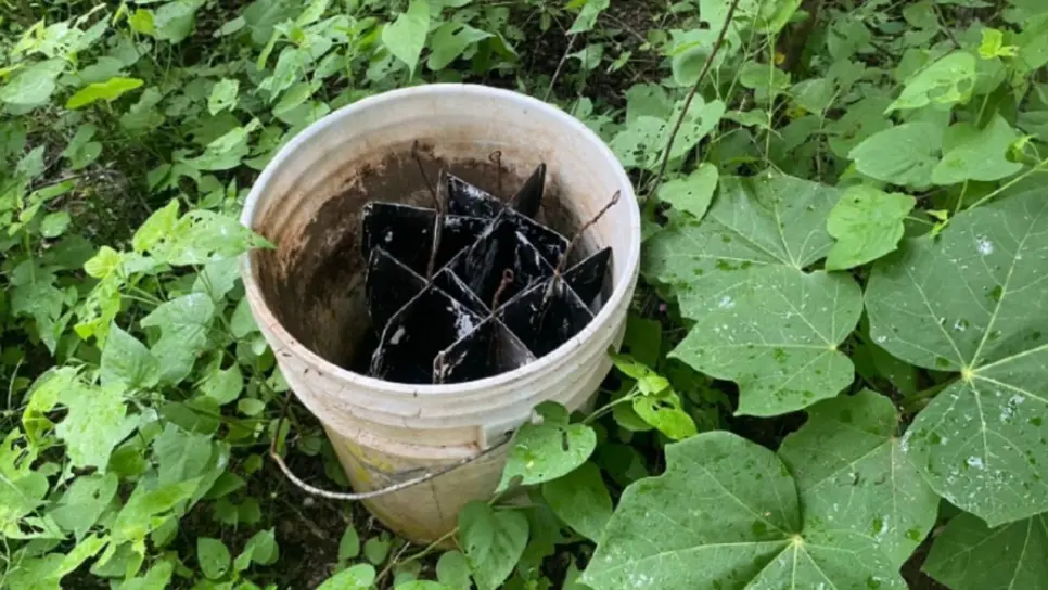 El Grupo Interinstitucional asegura cinco artefactos explosivos en Culiacán El Grupo Interinstitucional asegura cinco artefactos explosivos en Culiacán