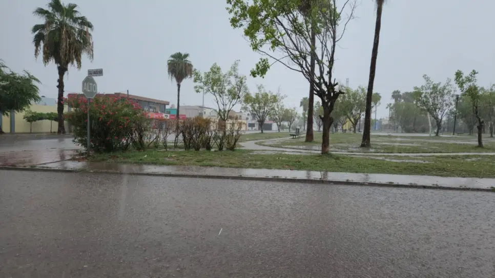 Septiembre y octubre traerán las precipitaciones más intensas del año en Sinaloa: Juan Espinoza Septiembre y octubre traerán las precipitaciones más intensas del año en Sinaloa: Juan Espinoza