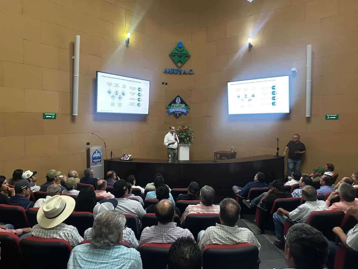 Alertan por desplome del maíz en México: Le estamos haciendo la tarea a los americanos, asegura experto