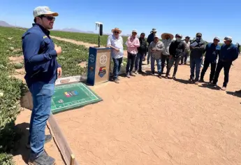 Carlota, la tecnología agrícola que reduce hasta el 30 % del uso de agua